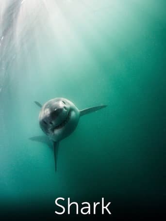 Poster for Shark: Beneath the Surface