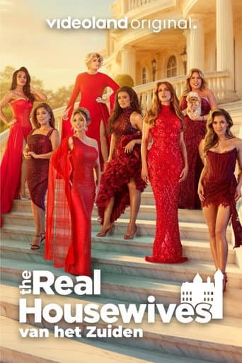 Poster for The Real Housewives van het Zuiden