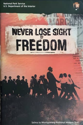 Poster for Never Lose Sight of Freedom