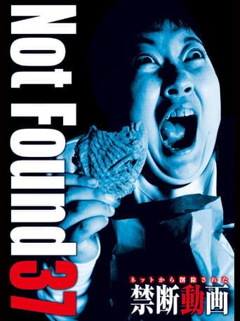 Poster for Not Found 37