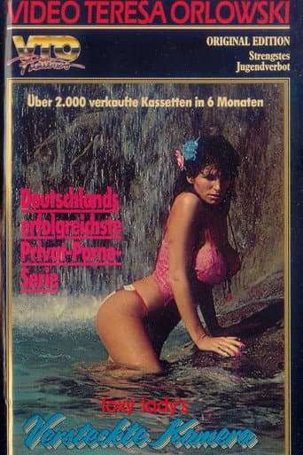 Poster for Foxy Lady's versteckte Kamera 2