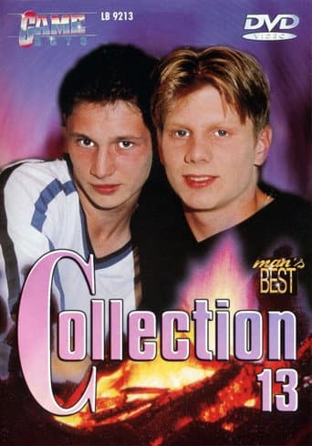 Poster for Game Boys Collection 13