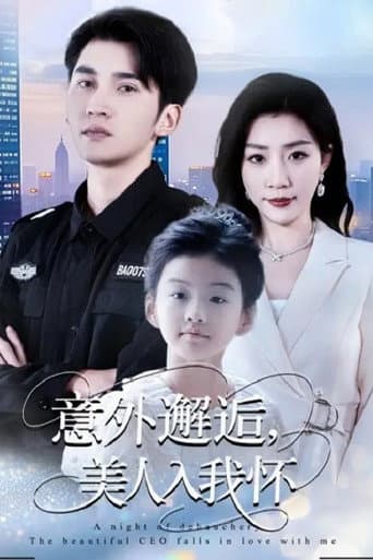 Poster for 意外邂逅,美人入我怀