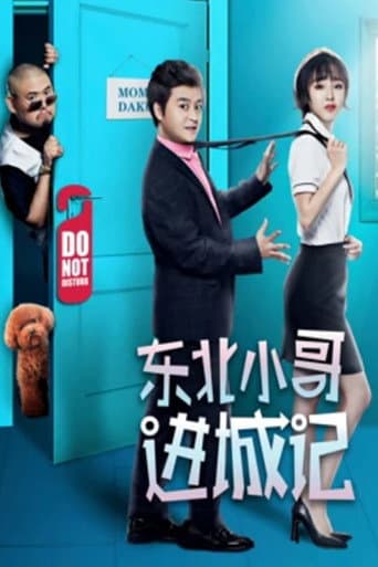 Poster for 东北小哥进城记