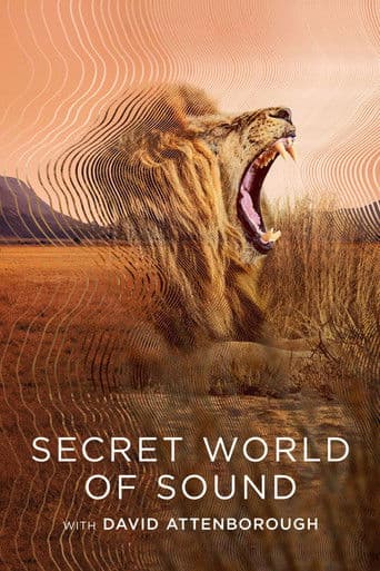 Poster for Secret World of Sound
