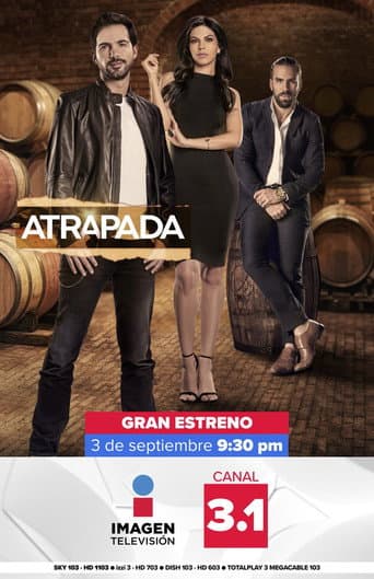 Poster for Atrapada