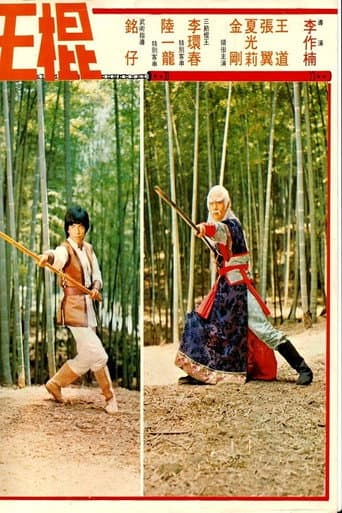 Poster for Shaolin Invincible Sticks