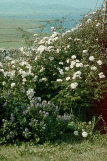 Poster for Glimpses from a Visit to Orkney in Summer 1995