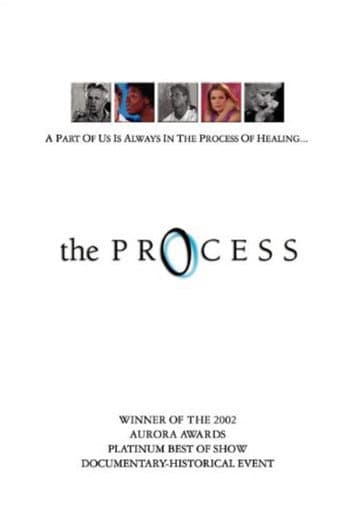 Poster for The Process